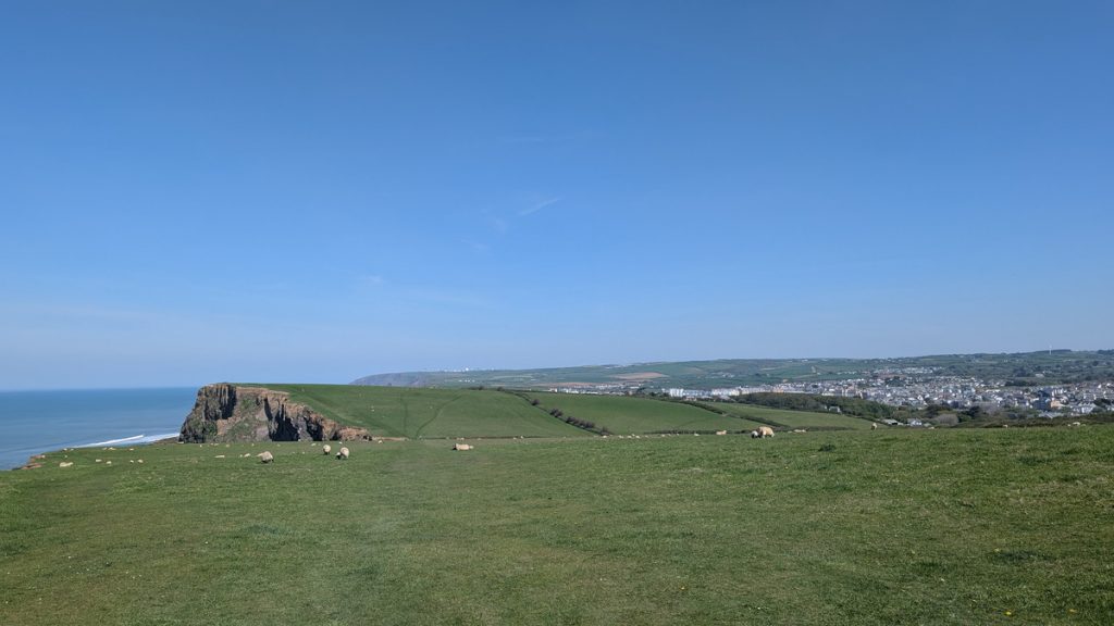 Efford Down
