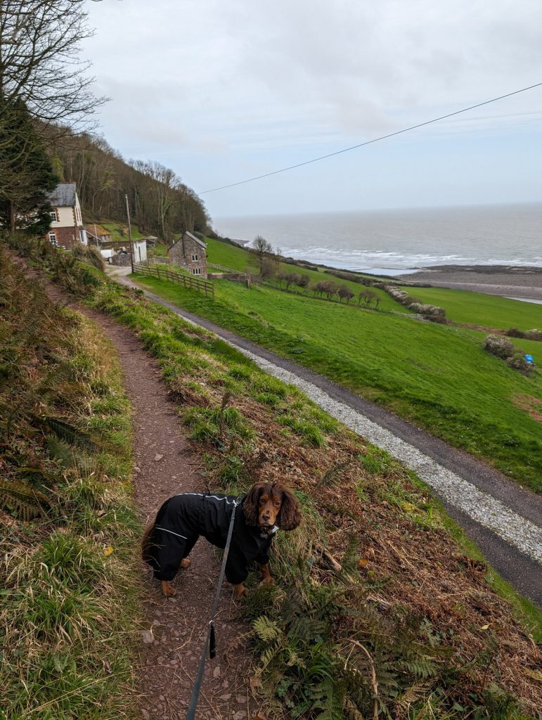 Last view of the sea for awhile before climbing through the woods