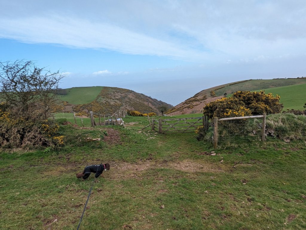 Looking towards Grexy Combe