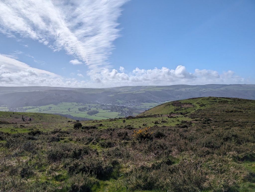 More Exmoor Ponies in the distance with Porlock down in the Vale