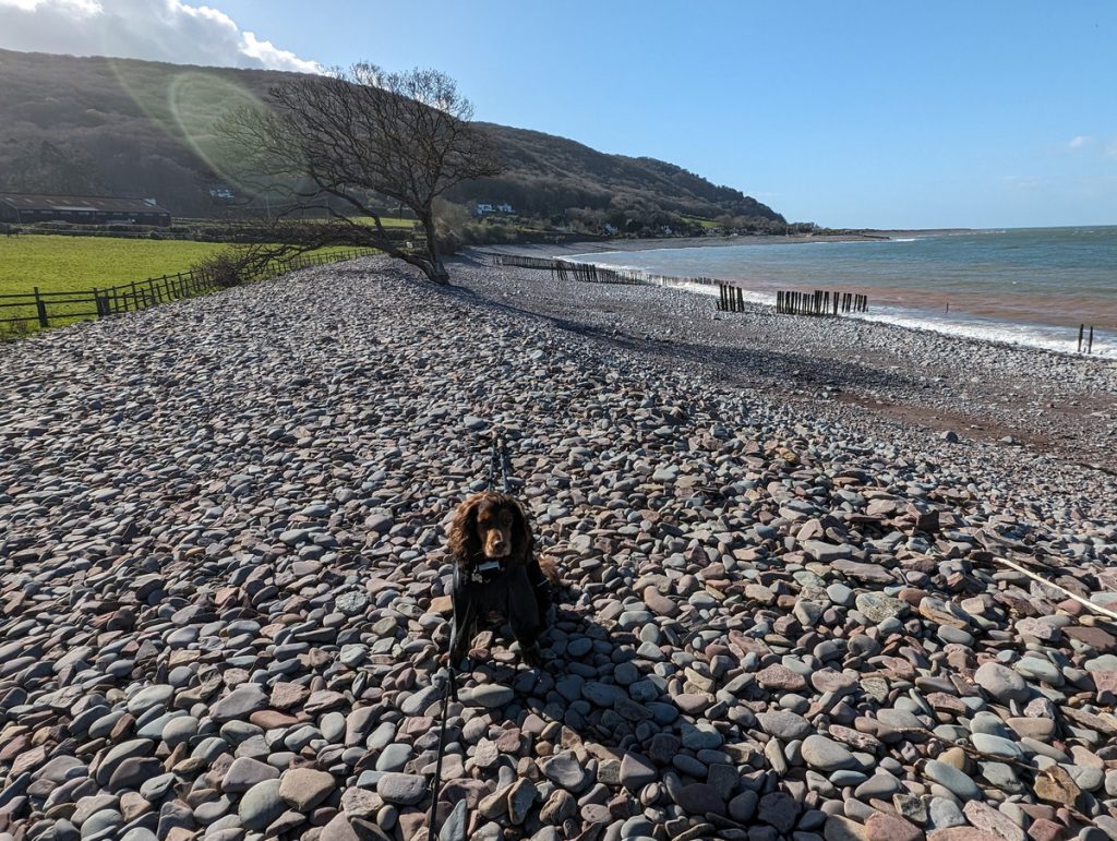 Shingle ridge near Porlock Weir