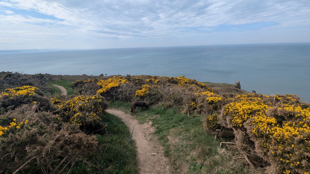 Above Lower Sharpness Point