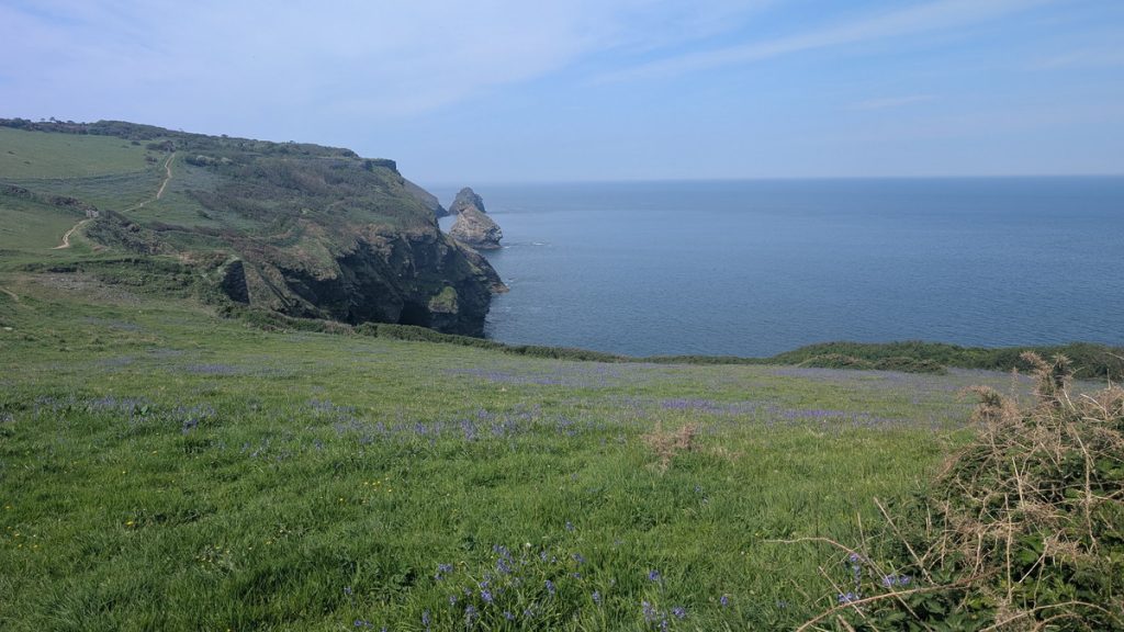 Bluebells on the cliff top. Grower Rock and Short Island in the distance.