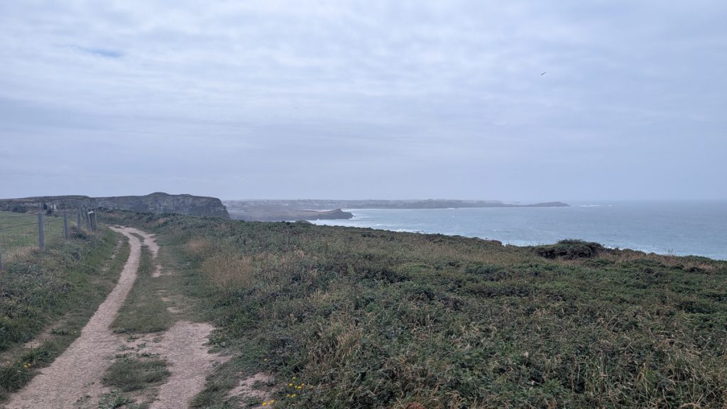 Cliff path above Watergate Bay