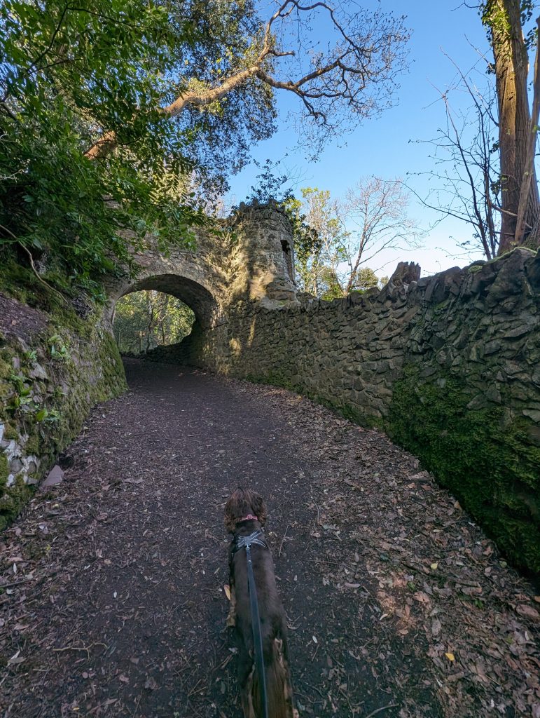 One of the strange ornamental bridges built by the Lovelaces in the 1840s spans the Path