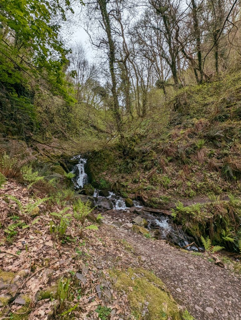 The Path crossing the stream in Holmers Combe