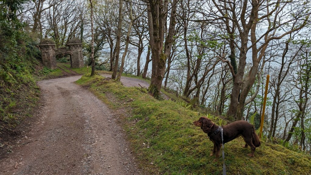 Near Glenthorne