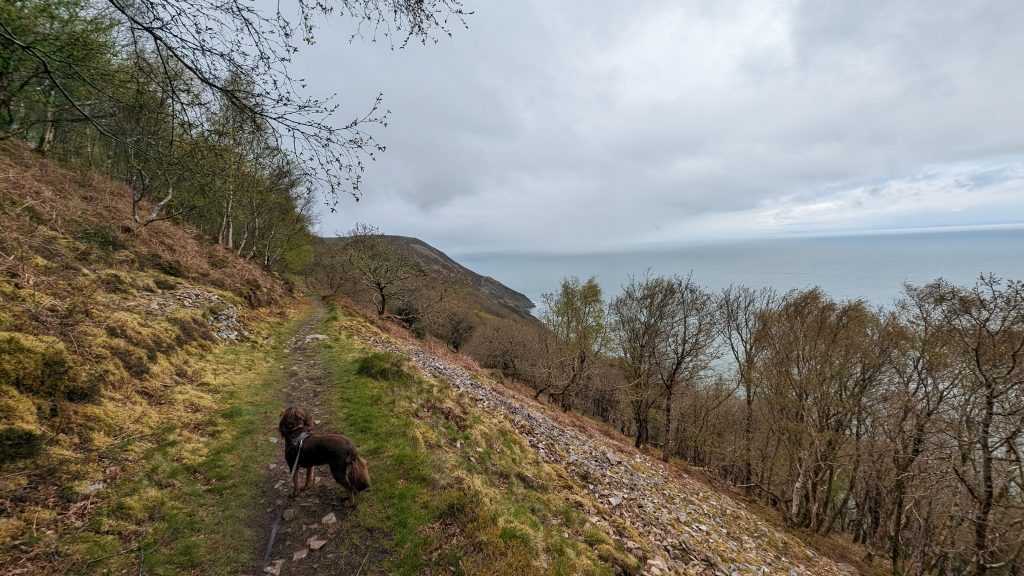 The Foreland ahead