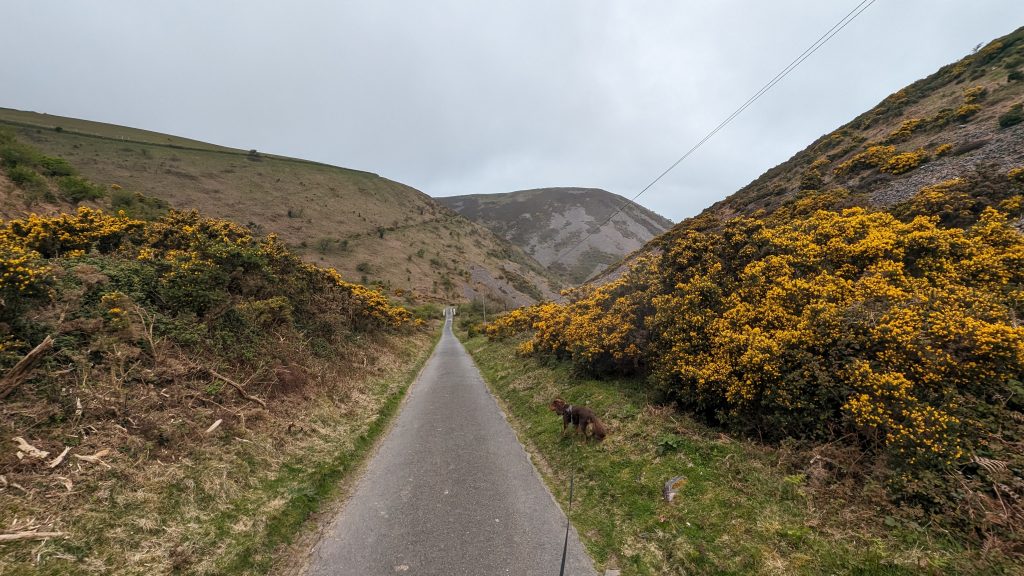 The road down Coddow Combe towards Foreland Point