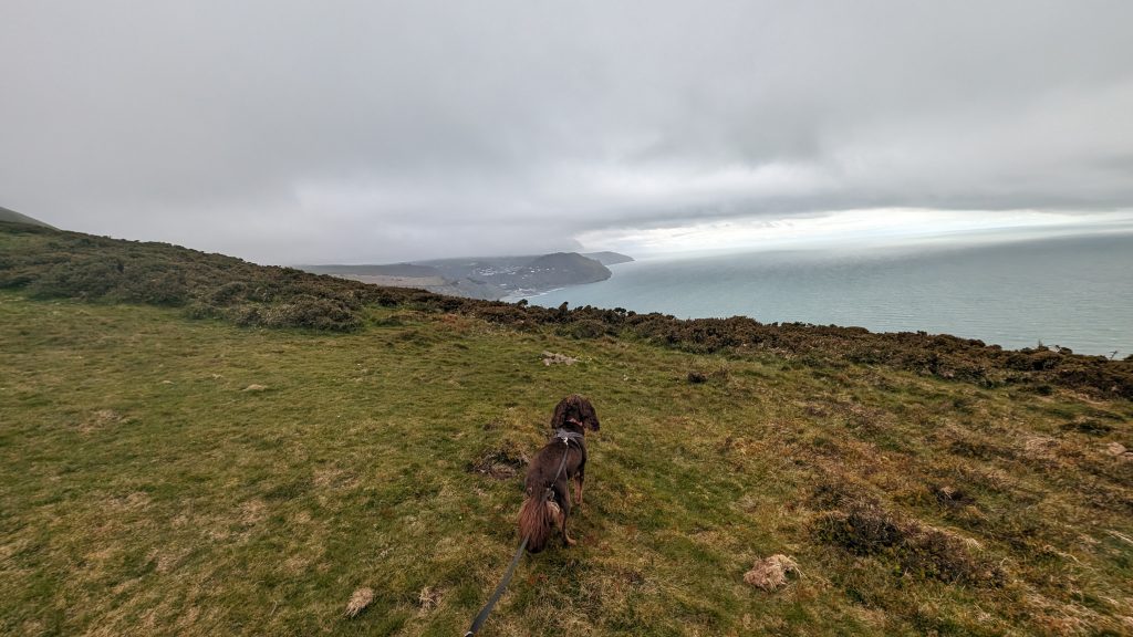 The Path across Butter Hill