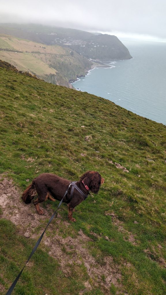 View from Butter Hill
