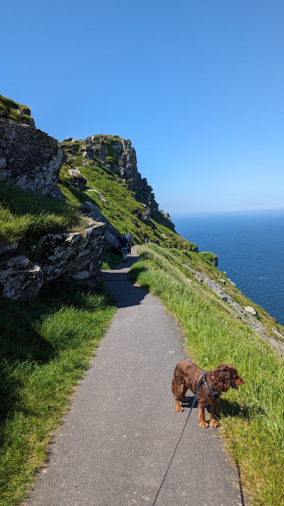 North Walk