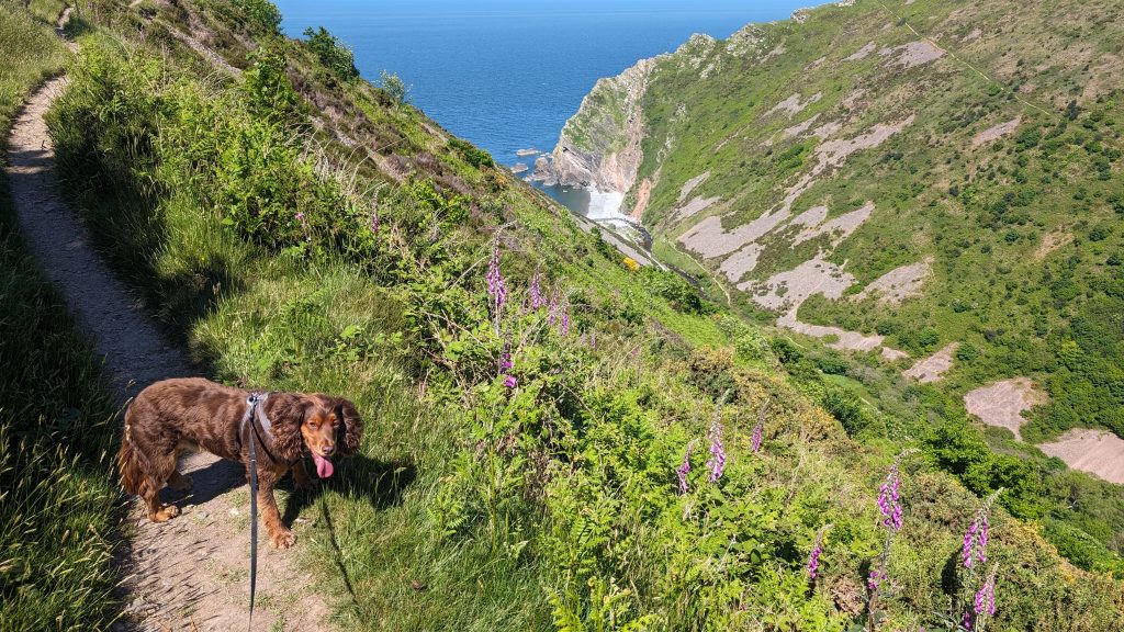 Climbing out of the Heddon Valley