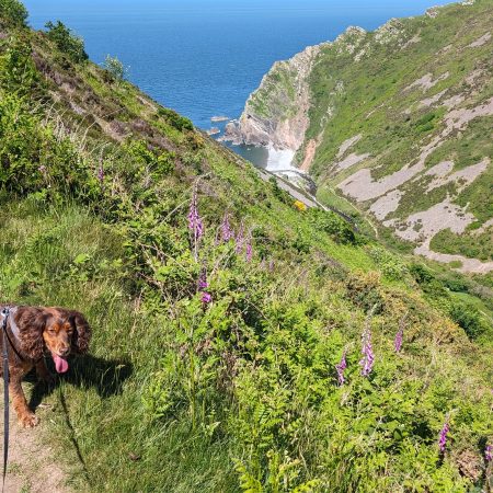 Climbing out of the Heddon Valley