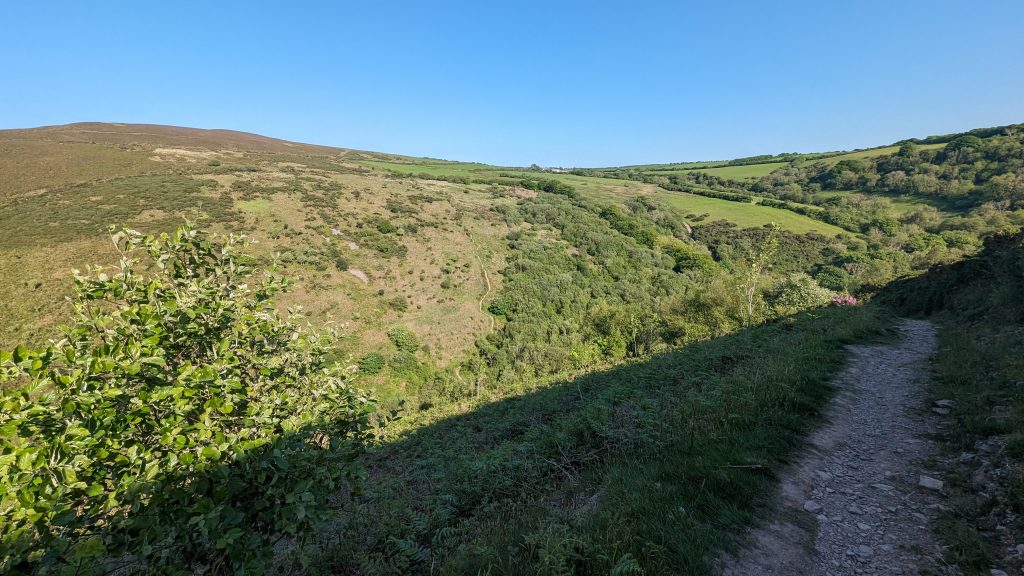 Looking back at the descent into Sherrycombe while climbing towards The Great Hangman.