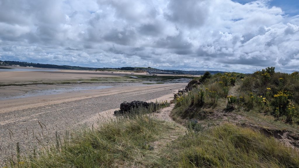 The Taw estuary at low tide