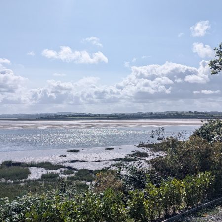 The Taw Estuary