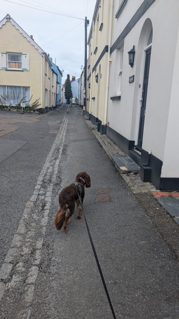 Irsha Street, Appledore- an intriguing area of narrow streets, hidden lanes and cobbled courtyards