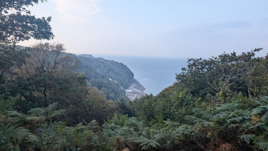On Hobby Drive. Clovelly in sight.