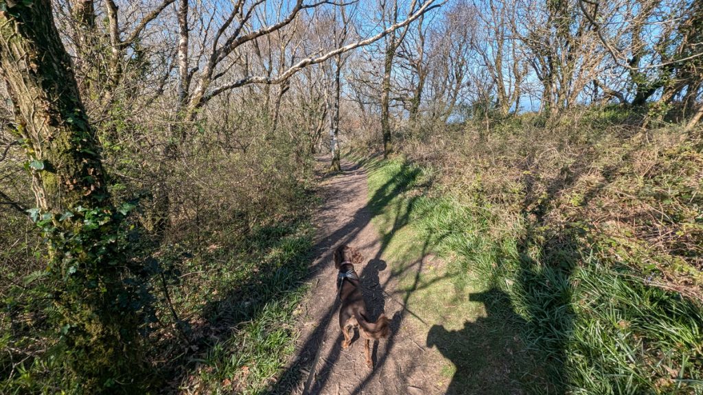 Heading out of the Estate