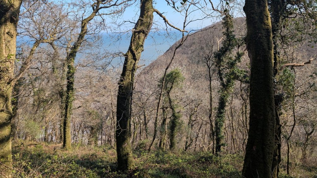 Climbing out of Mill Mouth towards Brownsham Cliff