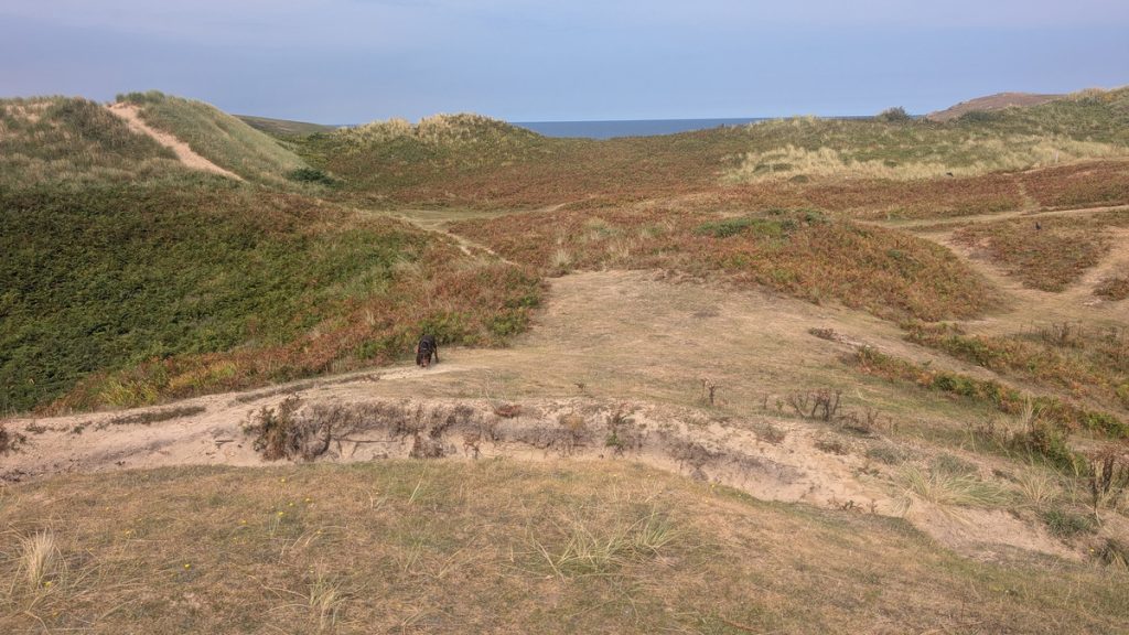 The dunes behind Crantock Beach