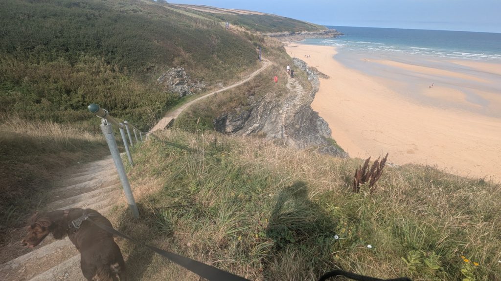 Behind Crantock Beach