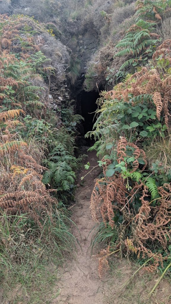 Tunnel or adit near Cligga Head