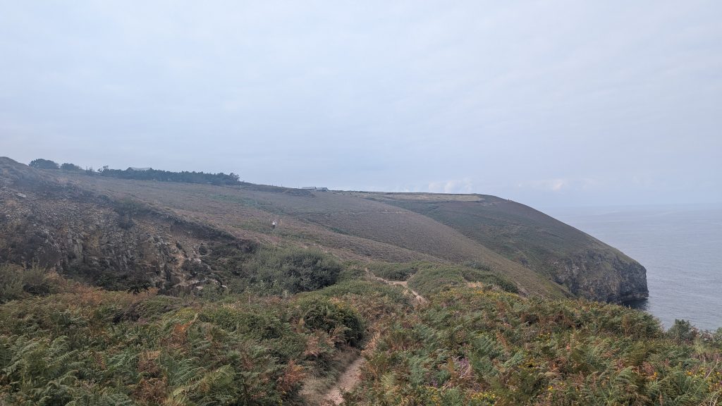 Looking towards Newdowns Head