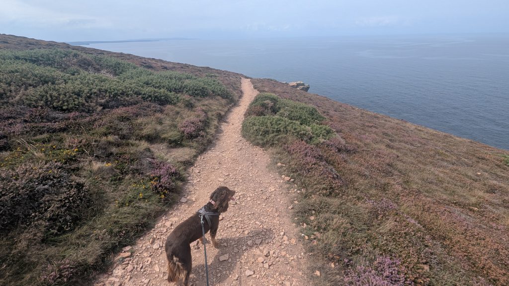 St Agnes Head