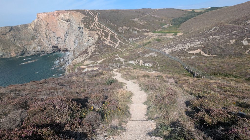 Looking back down at Sally's Bottom