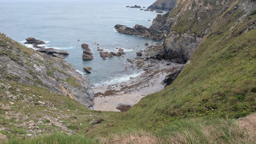 The Seals on the beach at Mutton Cove