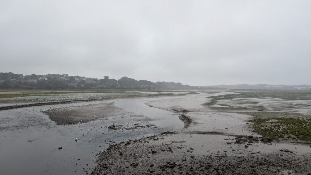 Hayle Estuary