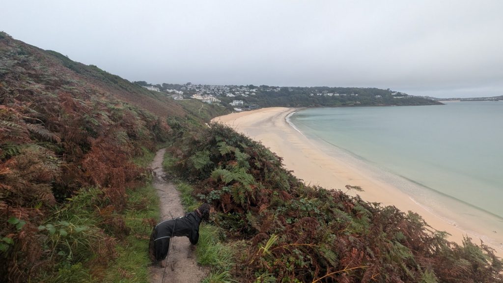 The track around Garrack Gladden as it approached Carbis Bay
